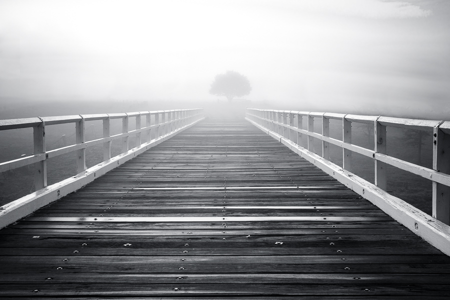 Wooden bridge covered in fog, Uralla