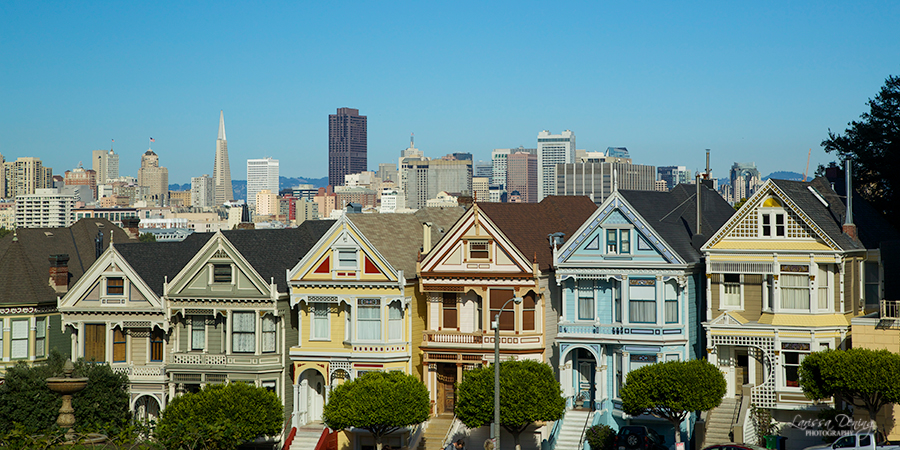 The painted ladies from the Intro of Full House