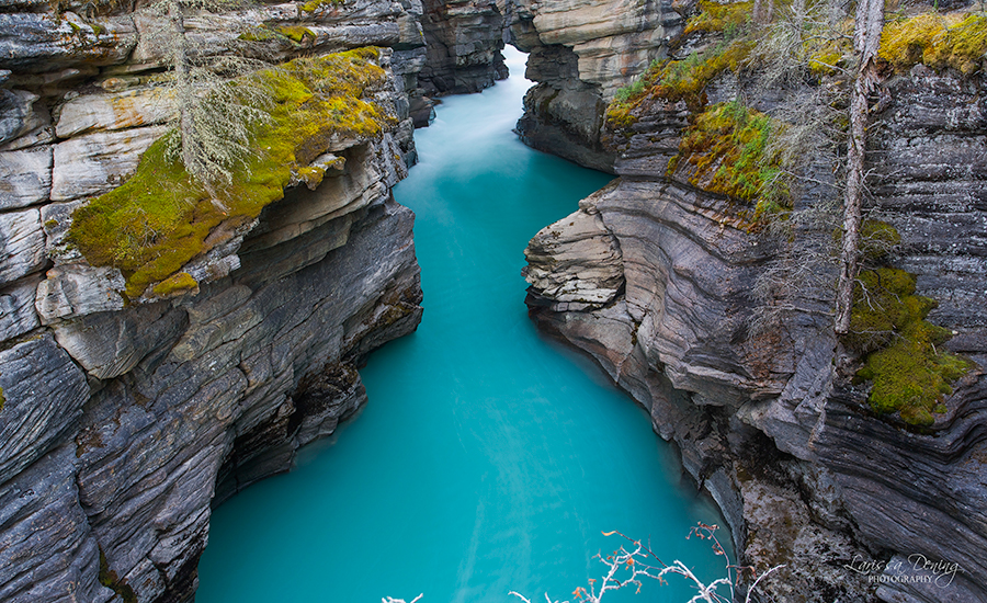 Limestone gorge at Athabasca Falls, Alberta, Canada