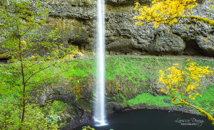 Silver Falls, Oregon