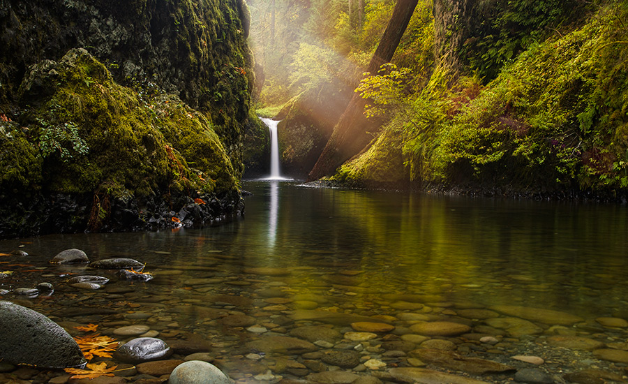 Punchbowl