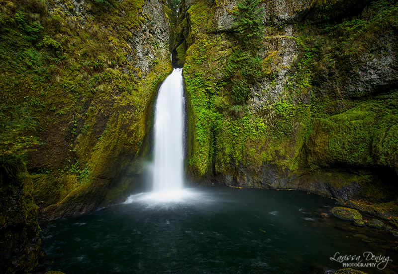 Mysterious Wahclella Falls, Oregon