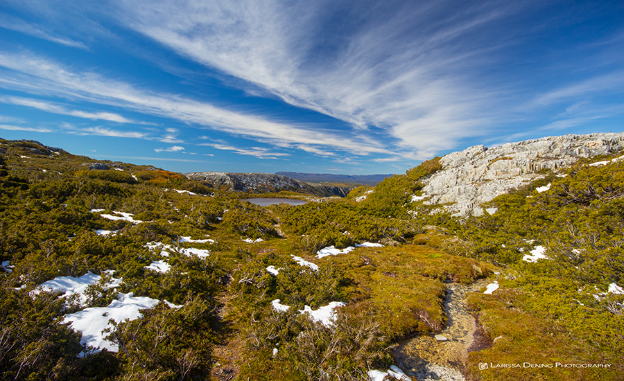 Snow at the top of Cradle Mountain