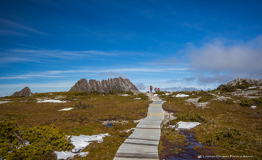 Hikers up ahead on doing the 6 day Overland Trail, Cradle Mountain, Tasmania