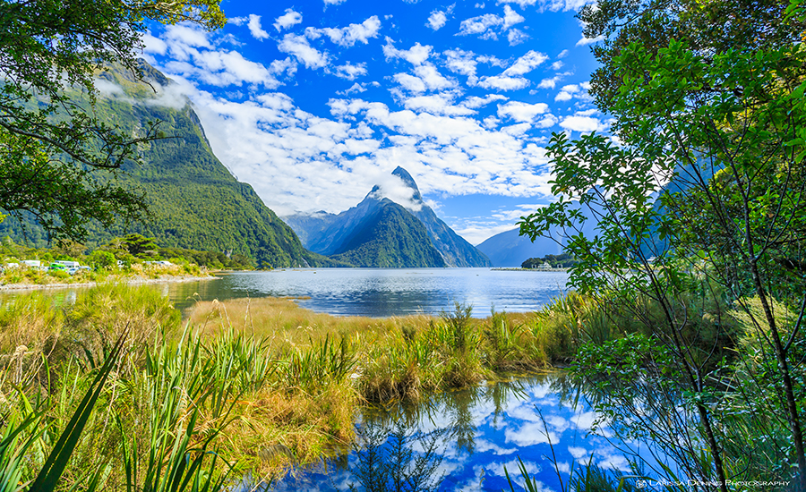 The beautiful Fjords of Milford Sound