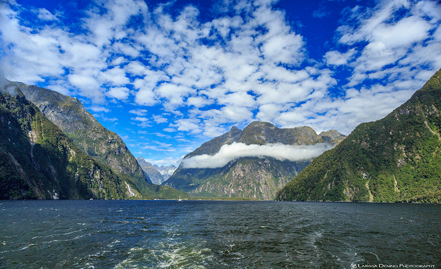 View from the cruise, Milford Sound