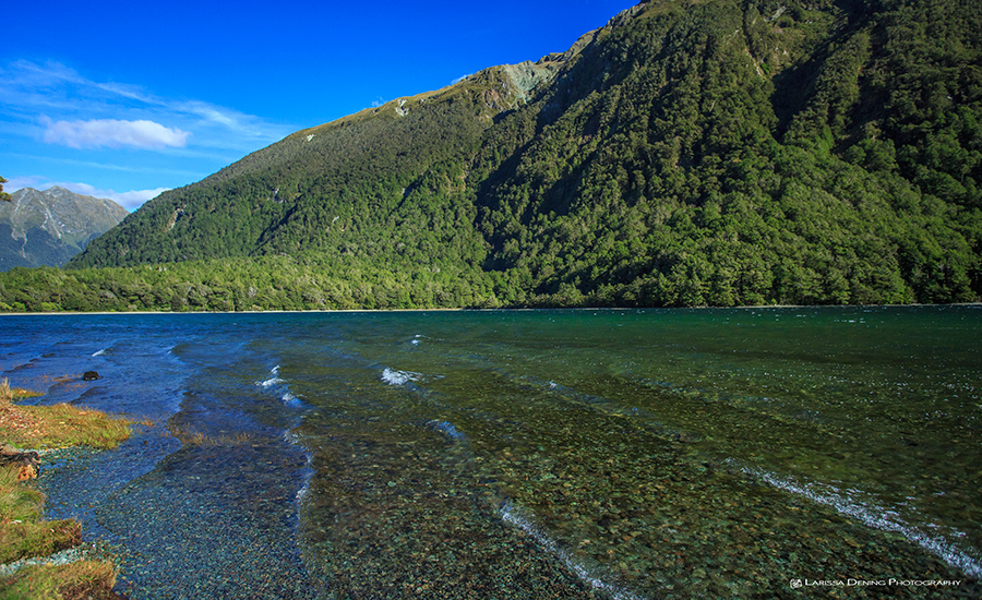 Lake Gunn, Milford Sound