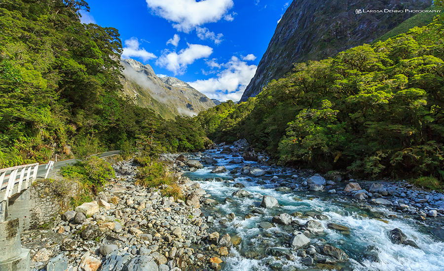 Streams running everywhere with the purest water, Milford Sound