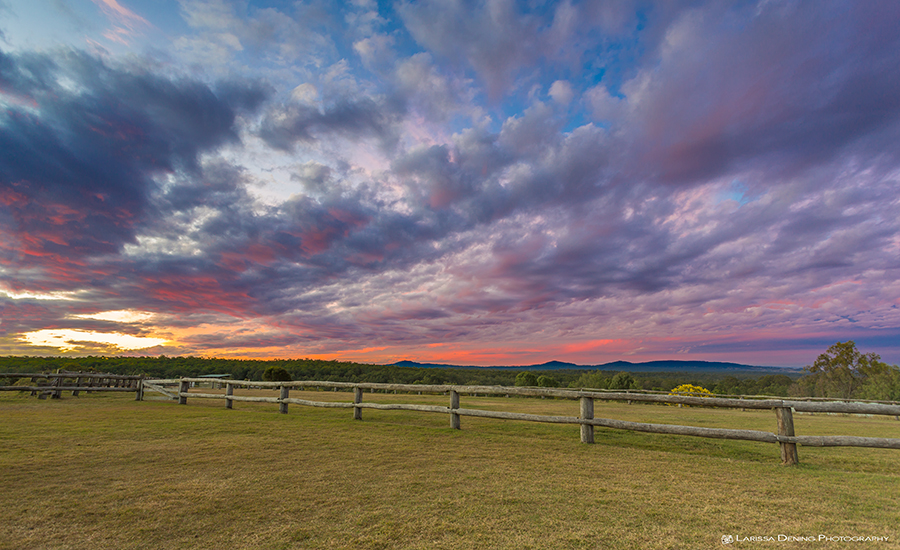 The sky was ablaze over the horse paddocks. Spicers Hidden Vale
