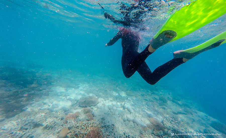 Snorkelling Adventures in the Great Barrier Reef, QLD