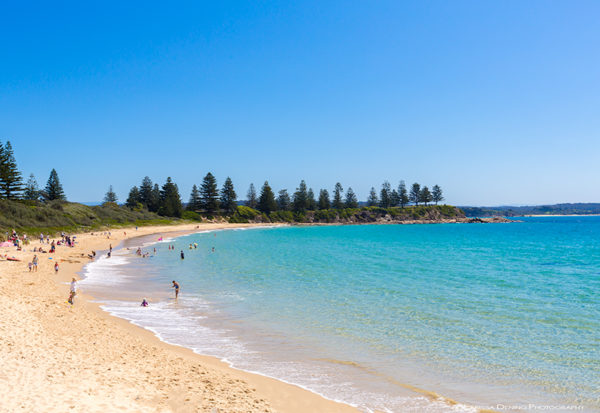 5 reasons to visit the stunning town of Bermagui
