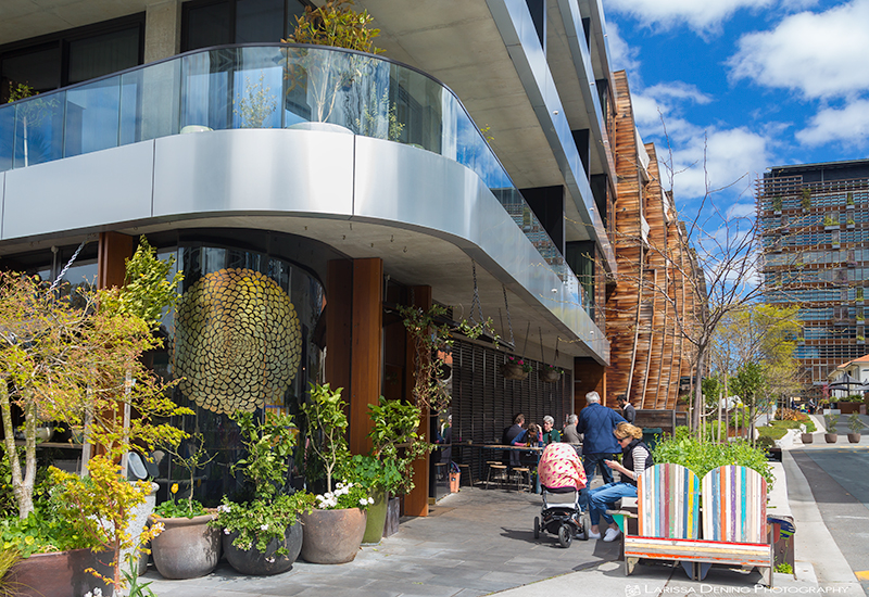 Mocan and Grout cafe, New Acton