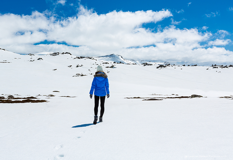 Walking to Mount Kosciusko.