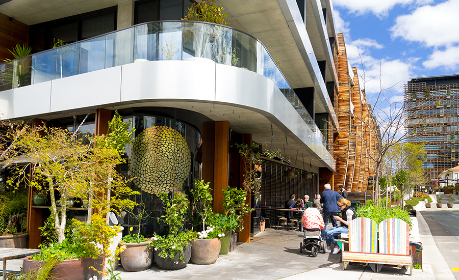 The hugely popular Mocan and Grout, New Acton