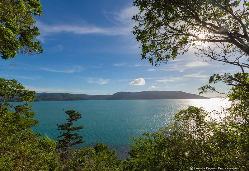 Views from the rainforest track on Daydream Island