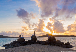 Sunrise at Mermaid Beach, Daydream Island