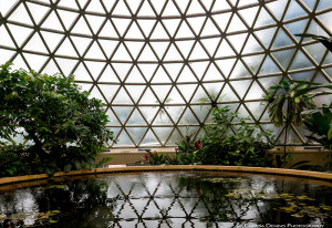 Tropical Plant Dome with reflective fish pond in the Botanical Garden, Mount Cootha