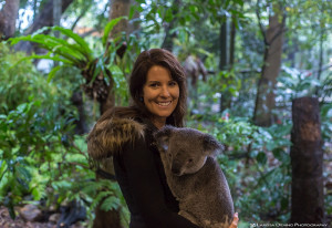 Koala cuddle time!