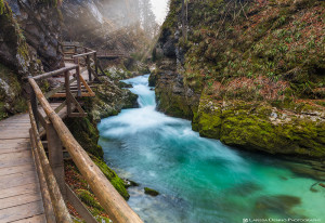 The incredibly beautiful Vintgar Gorge, Slovenia