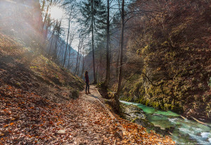 Taking in the magnificence of Vintgar Gorge, Slovenia