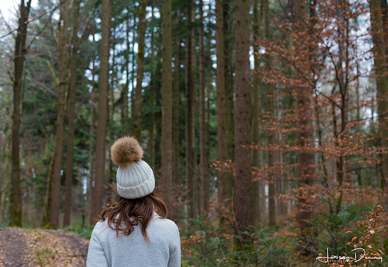 Exploring the beautiful forests of Germany