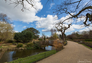 Gorgeous pathways and streams in Regents Park, Marylebone, London