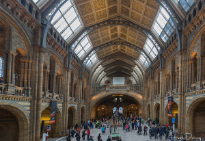 The main hall of the natural history museum, Knightsbridge, London