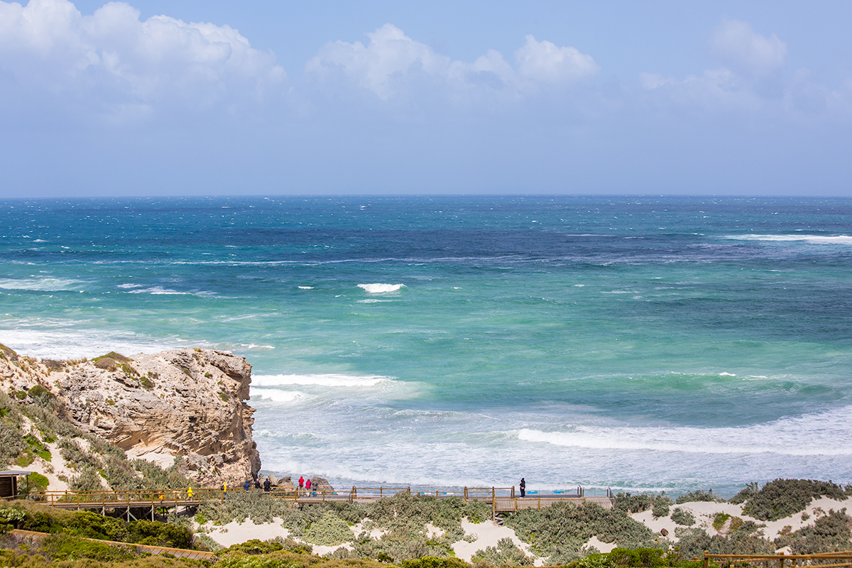 Viewing platform and boardwalk at Seal Bay, Kangaroo Island