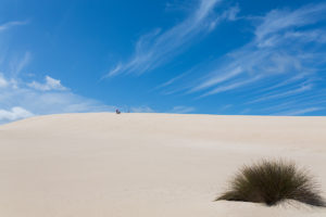 Some kids sand boring down the dunes, Little Sahara, Kangaroo Island