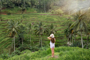 The amazing rice terraces, Ubud, Bali