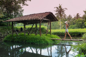 Exploring the rice paddy's in Desa Pentingsari, Indonesia.