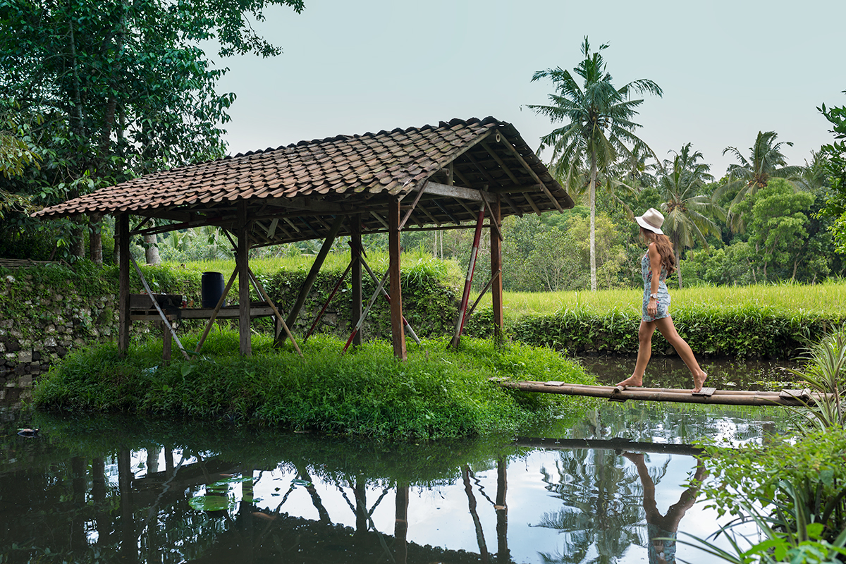 Exploring rice paddy's, Desa Pentingsari, Indonesia