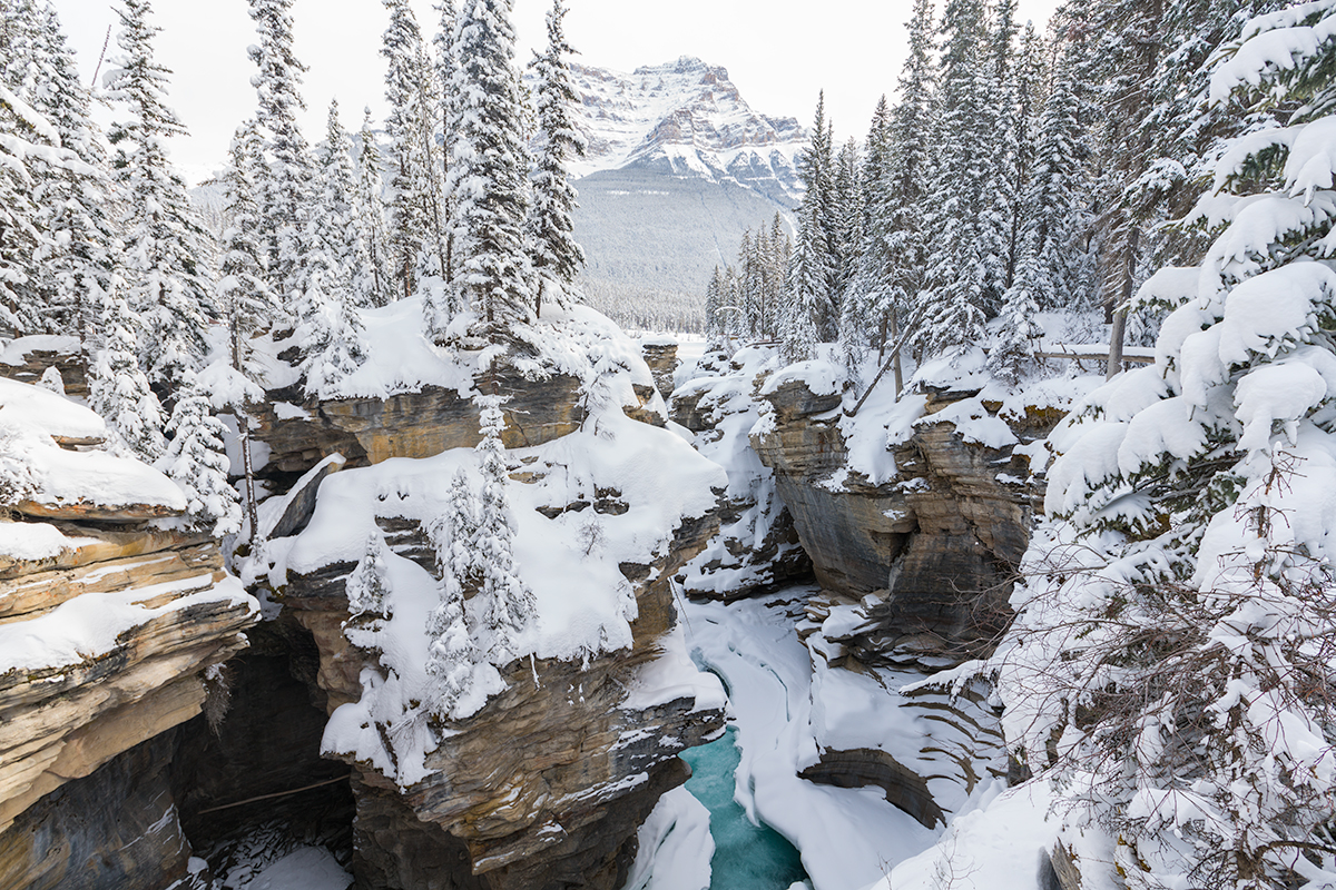 Winter in Jasper