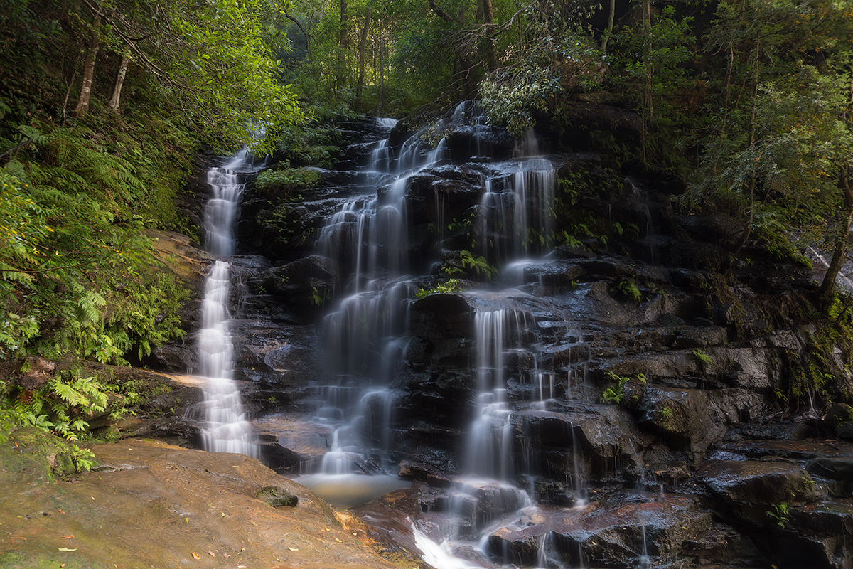 Sylvia Falls, The Valley of the Waters, Blue Mountains.
