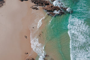 Drone views over a secluded beach at Noosa National Park
