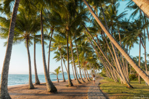 Palm Cove, Tropical North Queensland