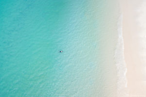 Benny swimming in the crystal clear waters of Whitehaven Beach