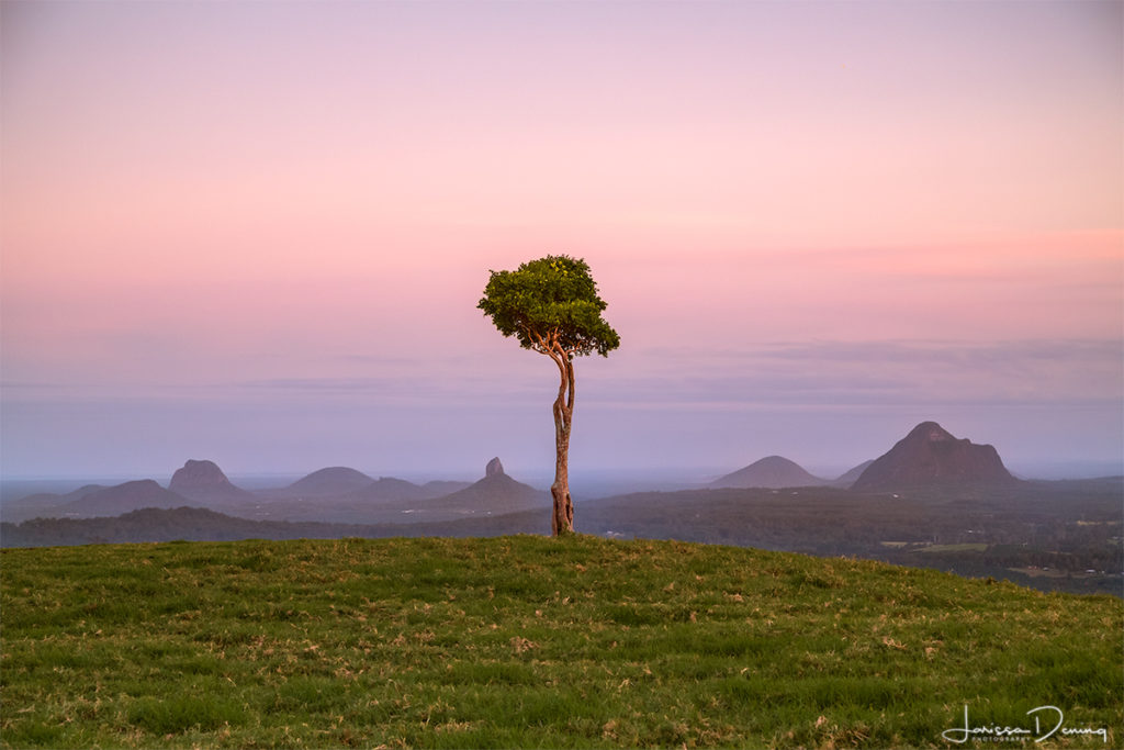 Views over the Glasshouse Mountains at sunset from Maleny