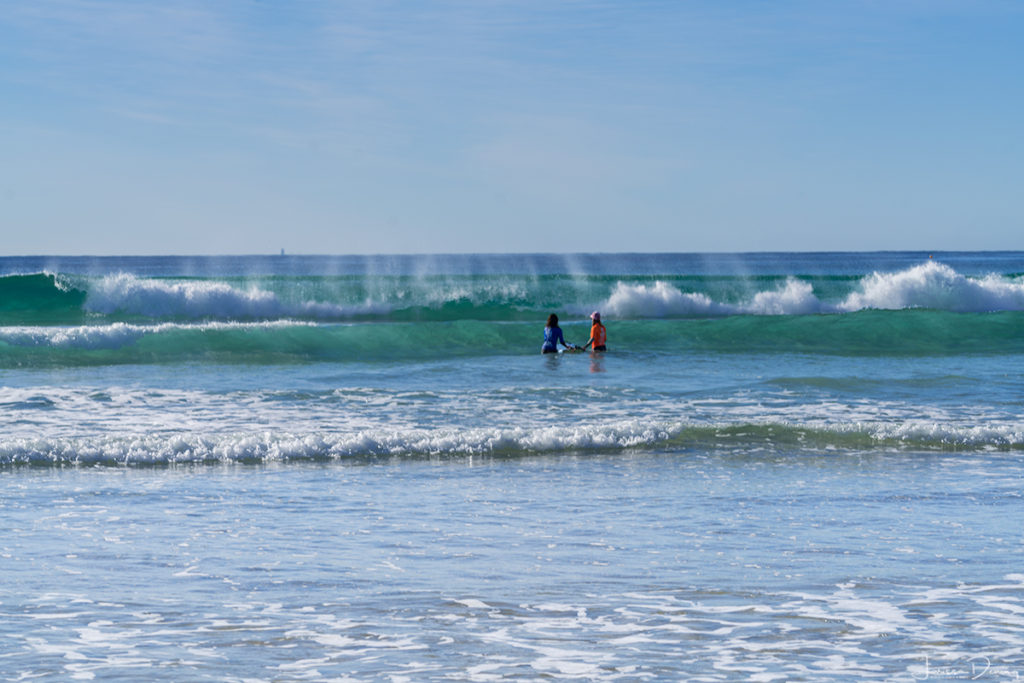 9 Best experiences on the Sunshine Coast